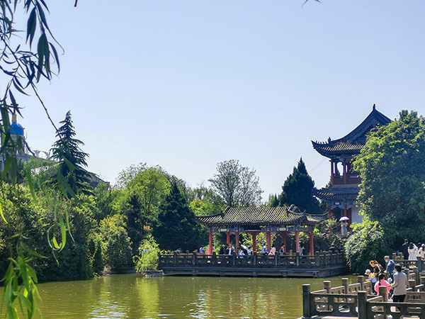 東湖內(nèi)湖之遠(yuǎn)觀凌虛臺(tái)，5月2日拍.jpg